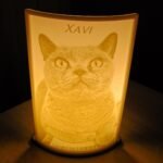 Portret Verlichte 3D-Foto Hars versie (Lithophane)