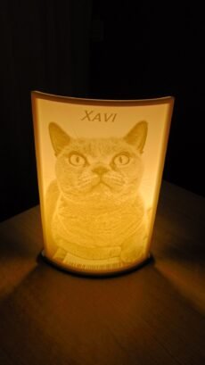 Landschap Verlichte 3D-Foto Hars versie (Lithophane)