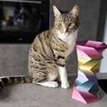 Spiraal hoekig vaas 1