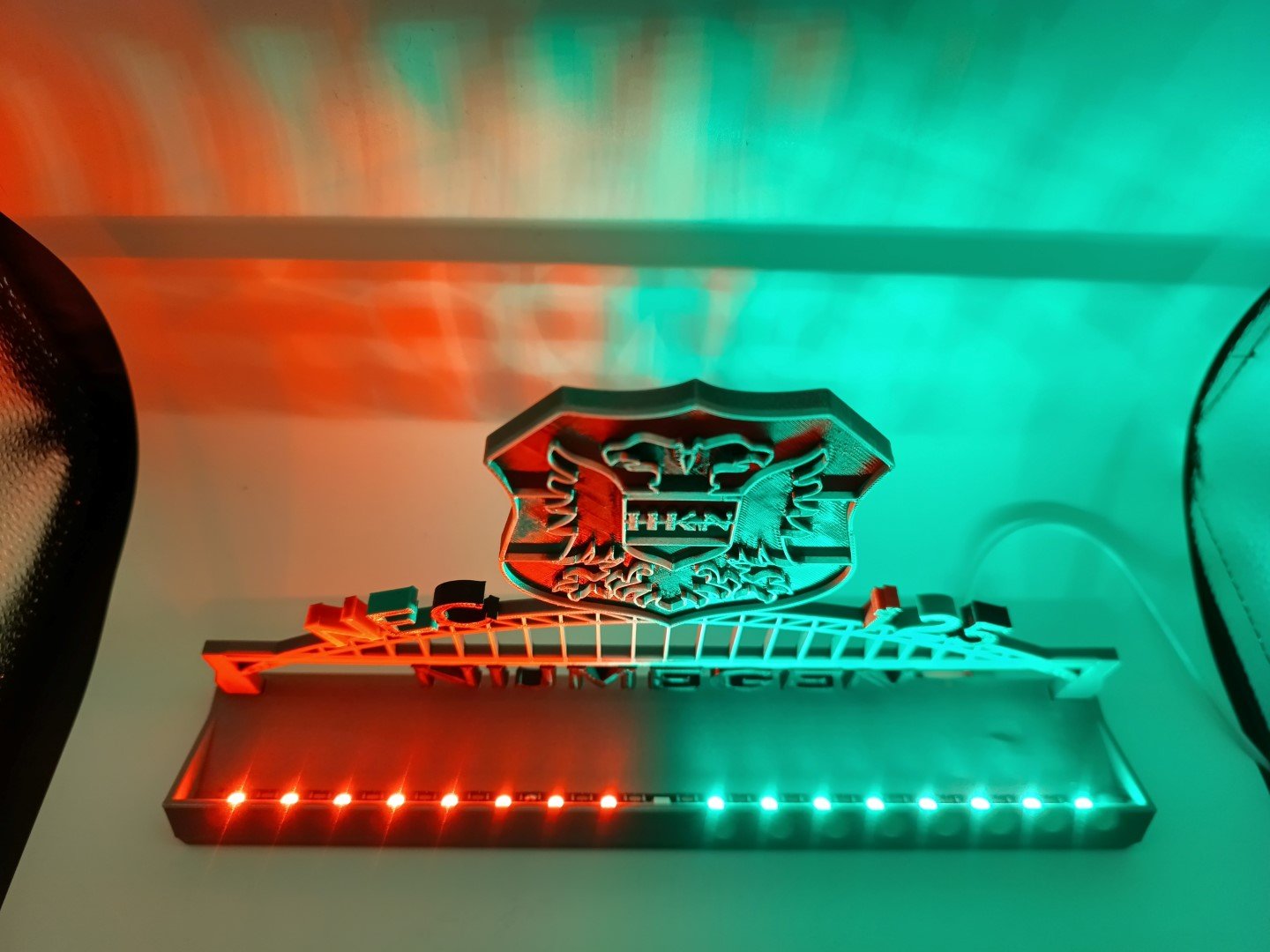 IMG_20251120_210137_589 (Large) IMG_20251120_210137_589 (Large)